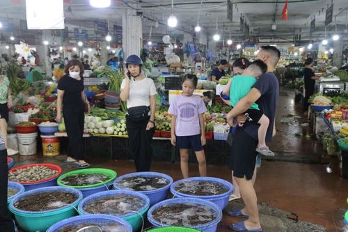 Không ít gia đình đưa cả trẻ nhỏ tới chợ, vừa mua thực phẩm vừa trải nghiệm không khí mua bán của người dân địa phương. Nhiều người dành khá nhiều thời gian đi qua từng sạp để xem các loại hải sản trước khi quyết định lựa chọn.