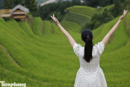Chị Đỗ Thị Mai (ở Hải Phòng) chia sẻ, chị cùng nhóm bạn biết được vẻ đẹp của ruộng bậc thang Mù Cang Chải qua mạng xã hội và thông tin trên báo chí nên tranh thủ dịp nghỉ lễ dài ngày, cả nhóm đã lên lịch đi Mù Cang Chải để trải nghiệm. "Thật sự vẻ đẹp của ruộng bậc thang còn hơn những gì thấy trên phim ảnh, mọi người đều cố gắng ghi lại thật nhiều hình ảnh tại đây để về khoe với mọi người", chị Mai nói.