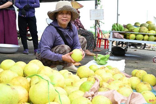 Từ phường Thành Vinh (Nghệ An), bà Võ Thị Hồng tìm mua bưởi Phúc Trạch để phục vụ khách hàng dịp Quốc khánh. Bà chia sẻ: “Có bao nhiêu mua bấy nhiêu, hiện nay chúng tôi mua hàng nghìn quả mỗi ngày nhưng vẫn không đủ để phục vụ khách hàng".
