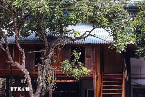 Những ngôi nhà sàn ở bản Pom Coọng thường được làm bằng tre hoặc bương và cách mặt đất khoảng 2m bằng những cột gỗ chắc chắn, xây thành từng cụm và theo lối kiểu kiến trúc truyền thống. (Ảnh: Trọng Đạt/TTXVN)
