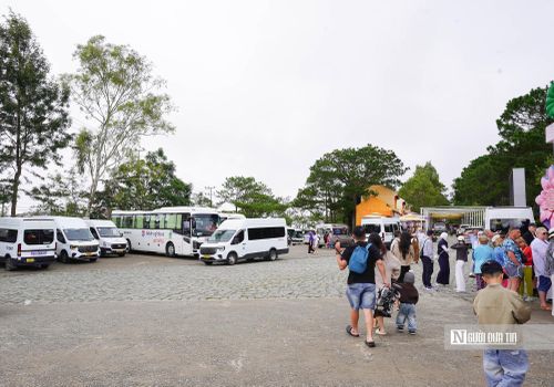 Đông đảo du khách trải nghiệm ở Đà Lạt.