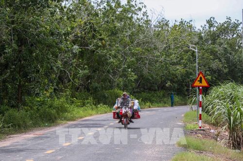 Người dân sinh sống trên tuyến biên giới xã Ninh Điền, tỉnh Tây Ninh thuận lợi hơn khi tuyến đường được lắp đặt hệ thống đèn năng lượng mặt trời. Ảnh: Giang Phương - TTXVN