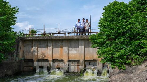 Cán bộ Chi cục Thủy lợi tỉnh Tây Ninh, rà soát hệ thống thủy lợi để đầu tư nâng cấp theo hướng đa mục tiêu, phục vụ đồng thời sản xuất nông nghiệp, công nghiệp, và nhu cầu dân sinh. Ảnh: Minh Phú – TTXVN