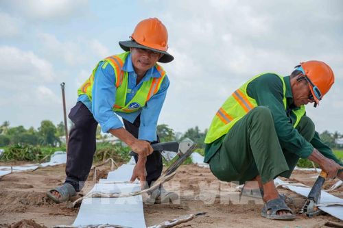 Công nhân thi công hạng mục gia cố nền đường ở gói thầu số 1, dự án thành phần 2 cao tốc Châu Đốc - Cần Thơ - Sóc Trăng. Ảnh: Thanh Liêm - TTXVN
