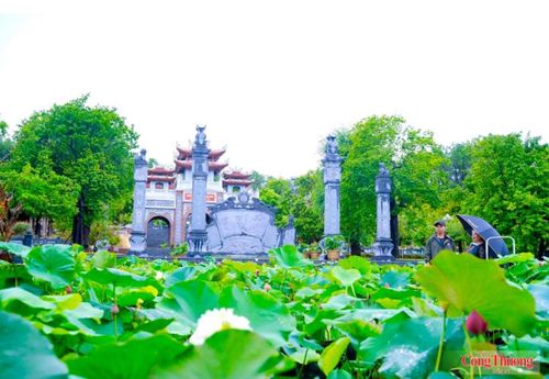 Các không gian ở xã Kim Liên rực sáng sắc sen, một hình ảnh thân thương, yên bình của quê Bác