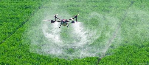 Sử dụng drone để phun thuốc bảo vệ thực vật đã trở nên phổ biến tại một số nơi trên thế giới, chẳng hạn trên những cánh đồng lúa ở Trung Quốc. Ảnh: CFOTO/IMAGO