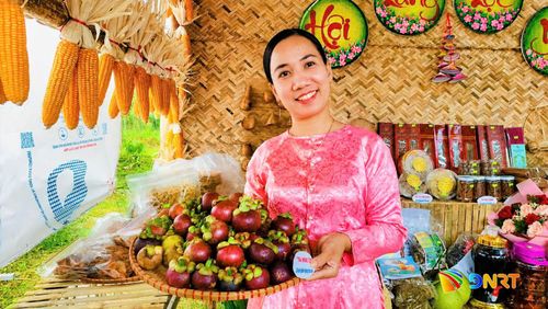 Măng cụt là loại trái cây được người dân Thạnh Bình giới thiệu tới du khách gần xa khi đến với Lộc Yên. Ảnh: D.LỆ