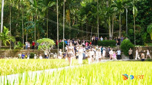 Du khách thích thú khi xem hoạt động trình diễn thời trang mo cau trong không gian đậm chất quê Lộc Yên. Ảnh: D.LỆ
