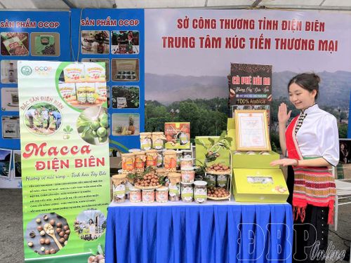 Hộ kinh doanh mắc ca Thoa Quàng, xã Tuần Giáo đẩy mạnh quảng bá, giới thiệu sản phẩm. (Ảnh CTV)