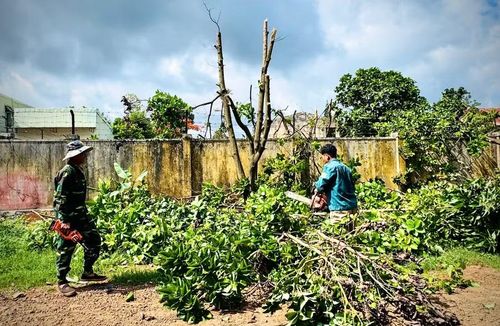  Các hộ dân tự nguyện chặt bỏ cây xanh để mở lối cho dự án đầu tư, nâng cấp tuyến đường Cao Bá Quát. Ảnh: Minh Thoan 