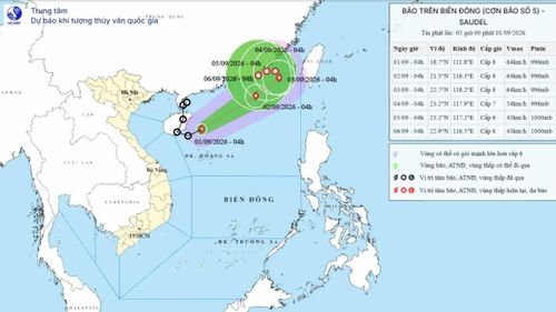 Bão số 5 hình thành trên Biển Đông.