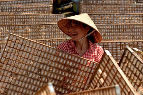 Bà con từ mọi miền đất nước đến vùng B'Lao xây dựng cuộc sống với hai nghề chính là trồng dâu nuôi tằm để dệt lụa và trồng chè để chế biến trà