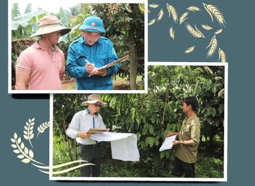 Người dân khu vực Bảo Lộc đồng thuận và phối hợp với lực lượng chức năng trong kiểm đếm, xác minh tài sản trên đất