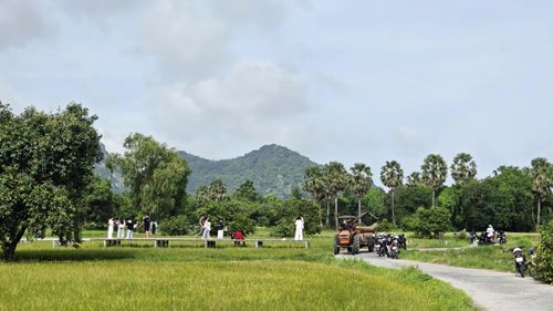 "Tọa độ" check in hot tại cánh đồng trâm ở xã Tri Tôn, tỉnh An Giang được rất đông bạn trẻ ưa thích xê dịch tìm đến trong dịp lễ Quốc khánh 2/9 năm nay. Giữa cánh đồng có con đường bê tông uốn lượn đi xuyên qua những thửa ruộng vàng rơm cùng những hàng cây thốt nốt bên cạnh tán trâm cổ thụ hơn trăm tuổi.
