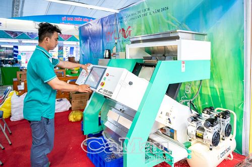 Máy tách màu tự động loại bỏ hạt lỗi, giúp gạo thương phẩm đạt độ đồng đều cao.