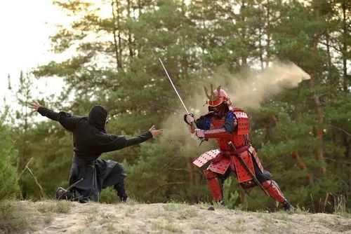 Ninja và samurai thường được xây dựng thành hai kiểu chiến binh đối lập. (Ảnh: Nippon)