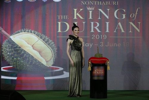 Theo Reuters, trái sầu riêng đắt nhất thế giới được bán đấu giá trong sự kiện “Vua sầu riêng” tại Thái Lan. (Ảnh: VCG)