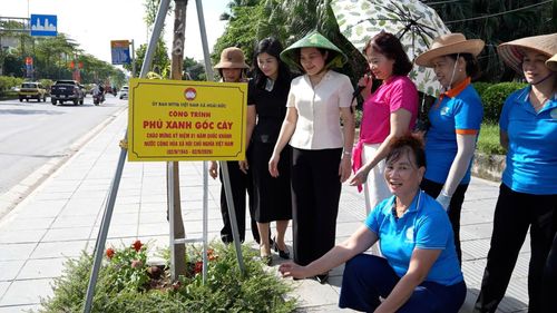 Công trình “Phủ xanh gốc cây” tại xã Hoài Đức. Ảnh: HĐ