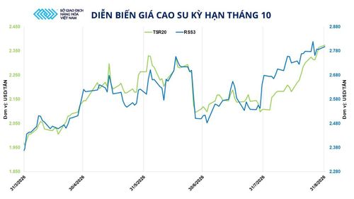Diễn biến giá cao su kỳ hạn tháng 10. Nguồn: MXV