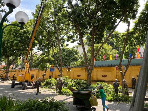 Công việc của người công nhân cây xanh ngày càng nhận được chia sẻ tích cực của người dân Thủ đô. Ảnh: Bảo Hân