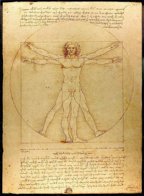 Tác phẩm nổi tiếng Người Vitruvius (chi tiết) do thiên tài Leonardo da Vinci vẽ vào khoảng năm 1490. Ảnh: wikipedia.
