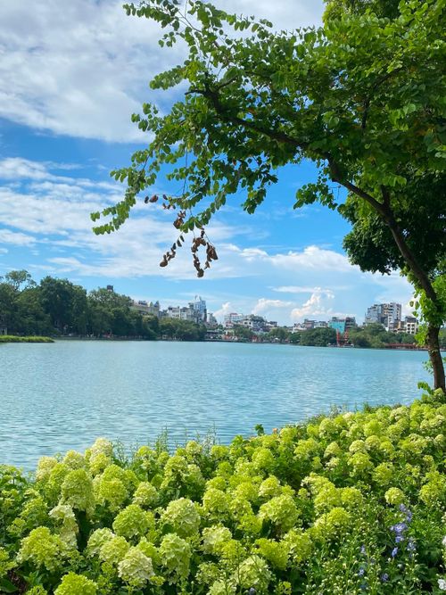 Theo ghi nhận của phóng viên, áo dài xuất hiện khá nhiều tại khu vực vườn hoa trong ngày Quốc Khánh. Bên cạnh áo dài, một số cô gái mặc váy dài, trang phục màu sáng và mang theo hoa cầm tay, nón hoặc phụ kiện để hoàn thiện bộ ảnh. Ảnh: Trương Vị, Trn V Chung.