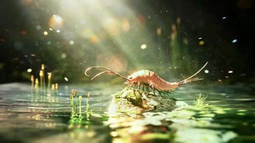 Hình ảnh tái tạo sinh thái cổ của loài côn trùng Chosha praecursor thuộc kỷ Carboniferous.