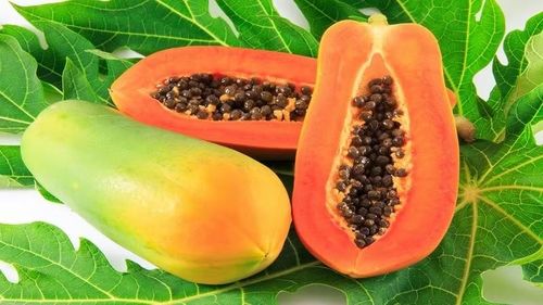 Đu đủ chứa nhiều nước, chất xơ cùng vitamin C và vitamin A. Với vị ngọt tự nhiên, loại quả này có thể được dùng thay thế cho những món tráng miệng nhiều đường. Để phù hợp với mục tiêu giảm cân, nên ăn đu đủ tươi với khẩu phần vừa phải và tránh thêm đường, sữa đặc. Ảnh: Long Châu