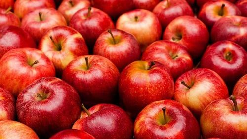 Táo cung cấp nước, chất xơ và nhiều hợp chất thực vật có lợi. Ăn táo nguyên quả, đặc biệt khi giữ lại phần vỏ sau khi rửa sạch, giúp tận dụng lượng chất xơ tự nhiên của quả. Đây là lựa chọn tiện lợi cho bữa phụ, nhưng nên ưu tiên táo tươi thay vì các sản phẩm táo sấy có thêm đường. Ảnh: Long Châu