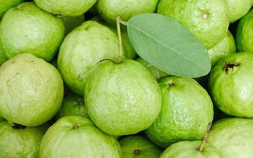 Ổi chứa nhiều vitamin C và chất xơ, đồng thời có lượng đường không quá cao so với một số loại trái cây có vị ngọt đậm. Ăn ổi tươi có thể giúp bữa phụ thêm no và hạn chế cảm giác muốn ăn vặt. Tuy nhiên, không nên chấm quá nhiều đường hoặc các loại gia vị có hàm lượng muối cao. Ảnh: Nhà thuốc Long Châu