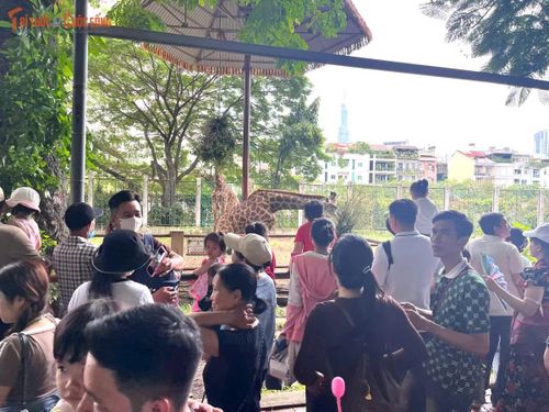Hầu hết các ông bố, bà mẹ vừa nhân dịp nghỉ lễ đưa gia đình đi chơi, vừa để con nhỏ khám phá thêm về thế giới động vật, điểm đặc trưng chỉ Thảo Cầm Viên mới có.