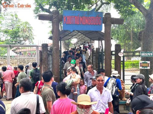 Từ sáng sớm, Thảo Cầm Viên (phường Sài Gòn) đã rất đông. Gần trưa, du khách vẫn nườm nượp đổ về khiến các lối đi trong công viên luôn đông đúc.
