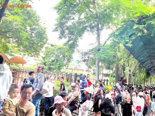 “Xếp hàng mua được vé cũng phải vất vả vì đợi lâu. Biết là đi chơi ngày này Thảo Cầm Viên sẽ đông người nhưng chỉ dịp này gia đình mới đi được nên vợ chồng tôi ráng đưa các con đến đây vui chơi, ngắm nhìn động vật”, anh Nguyễn Linh (ngụ phường Bình Trị Đông, TP HCM) chia sẻ.