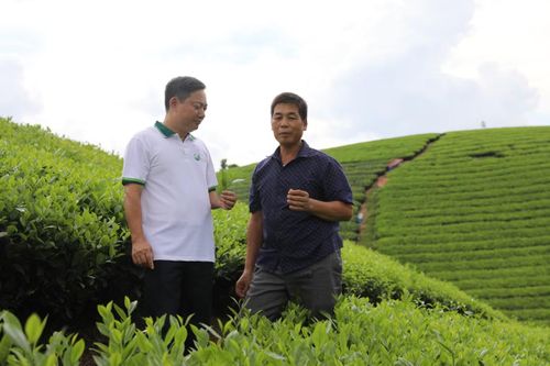 Ông Nguyễn Hoàng Trung, Bí thư Đảng ủy xã Long Cốc (bên trái) lên sóng.