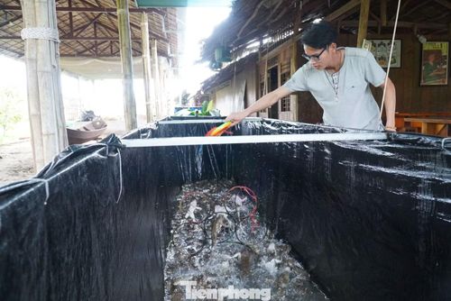 Cồn Sơn nằm giữa sông Hậu, có diện tích khoảng 70 ha với khoảng 400 nhân khẩu sinh sống. Người dân trên cồn chủ yếu làm vườn và du lịch cộng đồng.