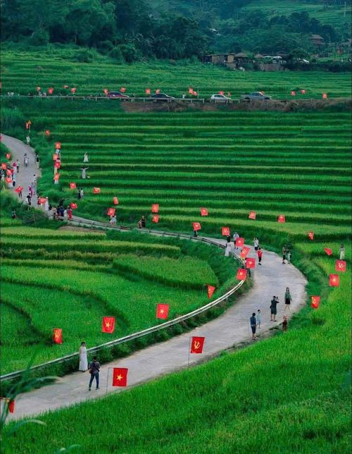 Các bản, làng xứ Thanh rực rỡ sắc đỏ cờ Đảng, cờ Tổ quốc.