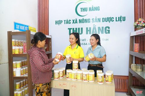 Bà Võ Thị Thu Hằng (áo xanh) giới thiệu sản phẩm tinh bột nghệ, tinh bột sắn dây của HTX.