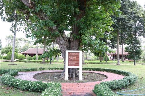 Cây bàng,nơi treo lá cờ đỏ sao vàng lần đầu tiên xuất hiện trong cuộc Khởi nghĩa Nam Kỳ vào ngày 23 tháng 11 năm 1940 tại xã Long Hưng.