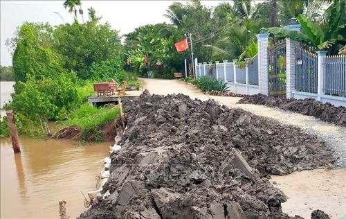 Một đoạn sạt lở trên tuyến đê bao sông Măng (xã Tân Long Hội) đang được gia cố khắc phục.
