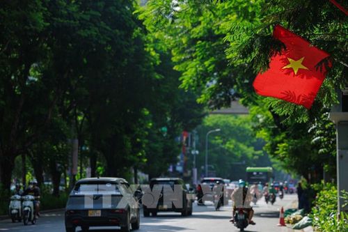 Lá cờ Tổ quốc nổi bật giữa những tán cây xanh trong nắng tháng Chín, một hình ảnh giản dị mà rất đỗi thân quen với nhiều thế hệ người Hà Nội mỗi dịp Quốc khánh. Ảnh: Phạm Tuấn Anh - TTXVN