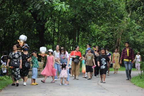 Khách du lịch tham quan khu Safari Phú Quốc - Ảnh: Hoàng Tuấn