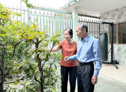 Ông Nguyễn Văn Nhuận và bà Phan Thị Hồng vẫn giữ thói quen lao động nhẹ nhàng để duy trì sức khỏe. Ảnh: PV