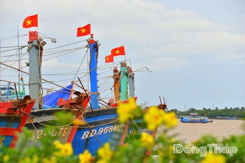 Cờ Tổ quốc tung bay trên những chiếc tàu bên bến cảng, lan tỏa không khí chào mừng Quốc khánh đến các vùng sông nước.