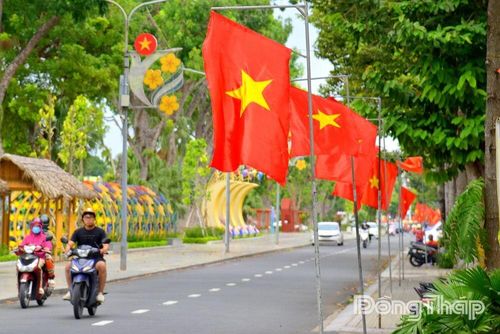 Cờ Tổ quốc nối dài trên tuyến phố, tung bay trong nắng, rực rỡ giữa lòng đô thị trong ngày Quốc khánh.