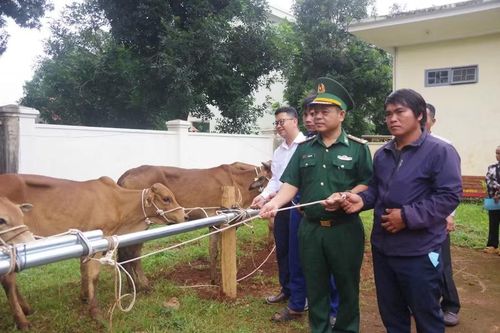  Đại diện Ban Chỉ huy Bộ đội Biên phòng tỉnh Gia Lai tặng bò giống cho người dân ở các cụm dân cư kết nghĩa hai bên biên giới. Ảnh: V.H 