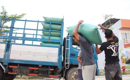 Thời tiết âm u, có mưa rào khiến việc phơi lúa sau thu hoạch gặp nhiều khó khăn. Ảnh: TL