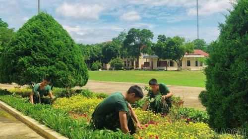 Cán bộ, chiến sĩ chỉnh trang doanh trại.