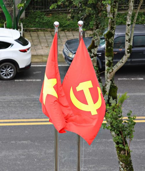 Các tuyến phố khu vực đô thị Lâm Đồng rực rỡ sắc đỏ cờ Tổ quốc. Từ những con đường trung tâm đến khu dân cư, cờ đỏ sao vàng tung bay trong không khí náo nức hướng về Quốc khánh 2/9