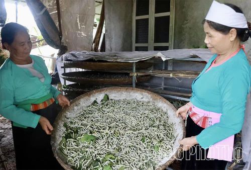 Những người phụ nữ Mường là chủ thể lưu giữ bí quyết tinh xảo của nghề dệt thổ cẩm truyền thống.