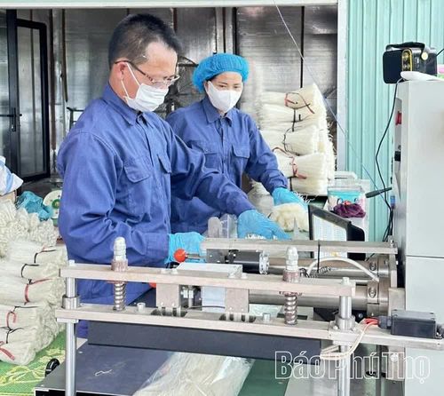 Sản phẩm Mỳ gạo Thư Phê được hoàn thiện, đóng gói trước khi đưa ra thị trường.